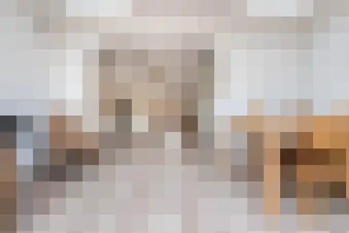 Noordvaarder 46 Hoofddorp thumbnail 18