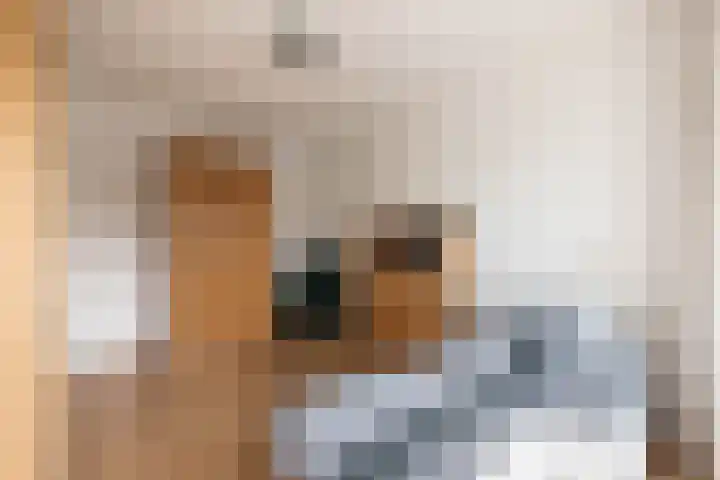 Noordvaarder 46 Hoofddorp thumbnail 31