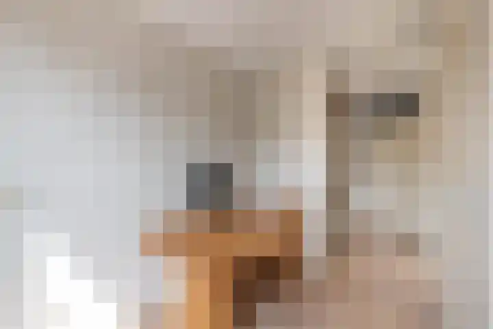 Noordvaarder 46 Hoofddorp thumbnail 36