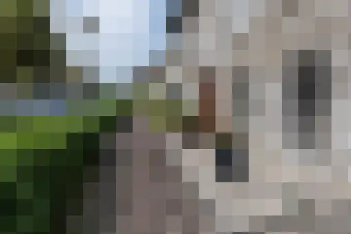 Noordvaarder 46 Hoofddorp thumbnail 42