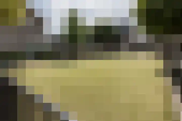 Noordvaarder 46 Hoofddorp thumbnail 49