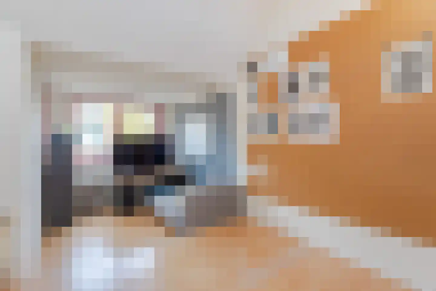 Noordvaartlaan 16 Hazerswoude-Dorp thumbnail 21