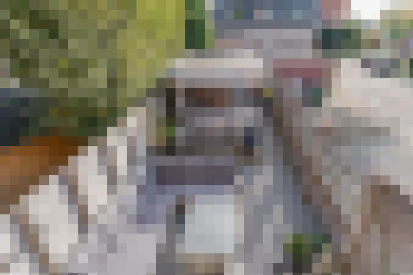 Noordvaartlaan 16 Hazerswoude-Dorp thumbnail 29