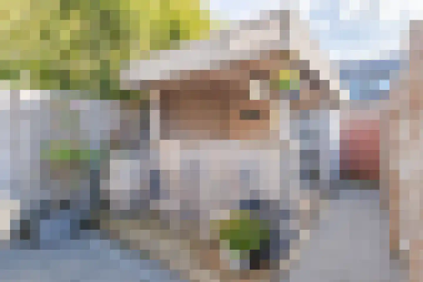 Noordvaartlaan 16 Hazerswoude-Dorp thumbnail 30