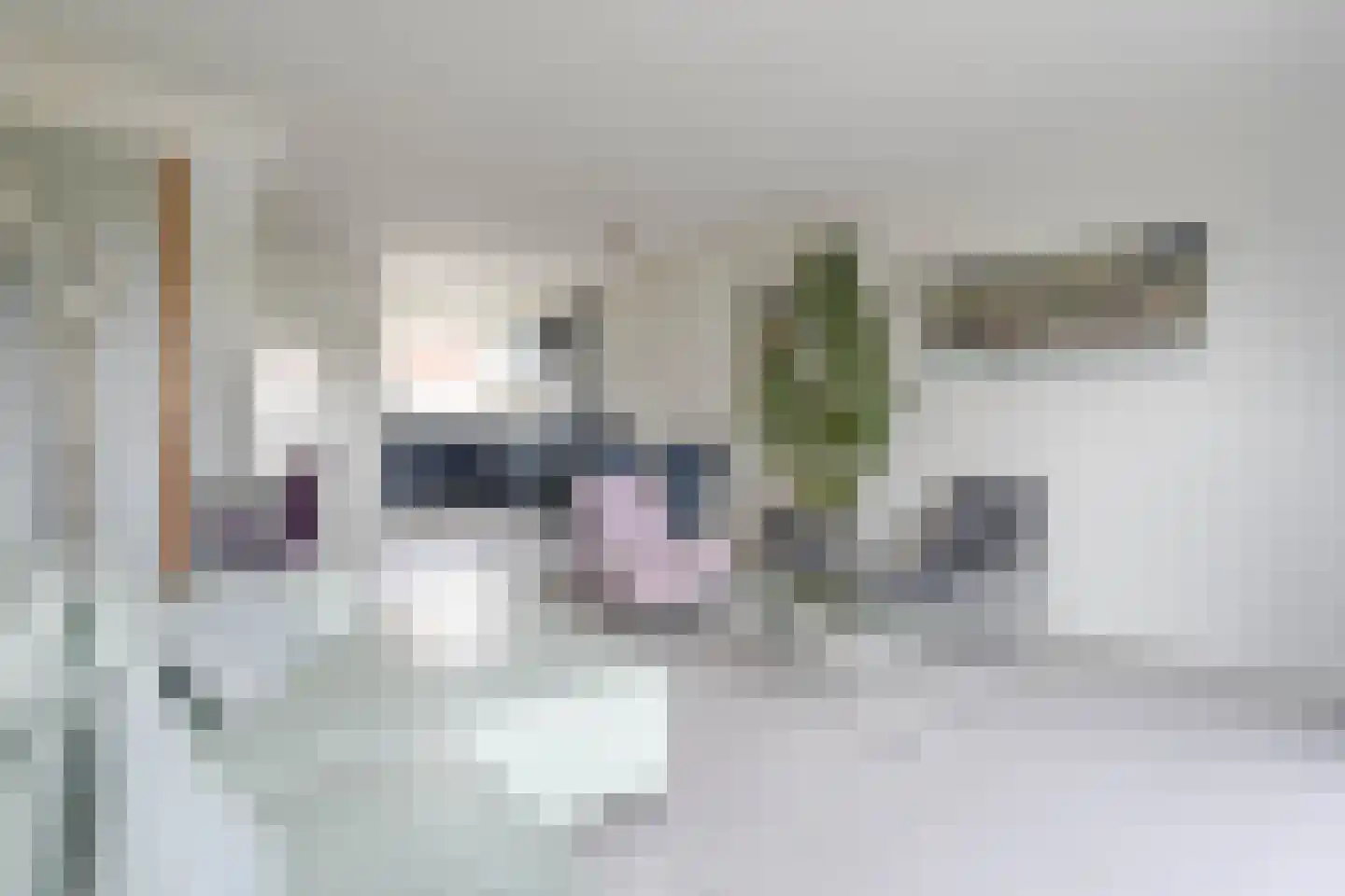 Noordvaartlaan 23 Hazerswoude-Dorp thumbnail 7