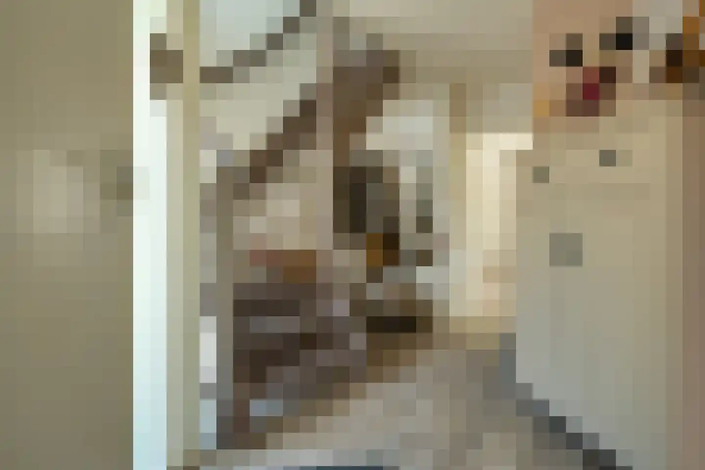 Noordveen 12 Beilen thumbnail 14