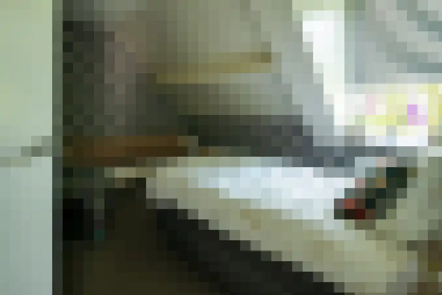 Noordveen 12 Beilen thumbnail 16