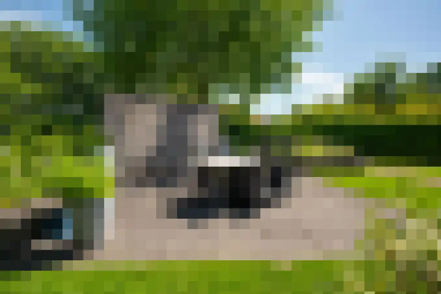 Noordveen 12 Beilen thumbnail 23