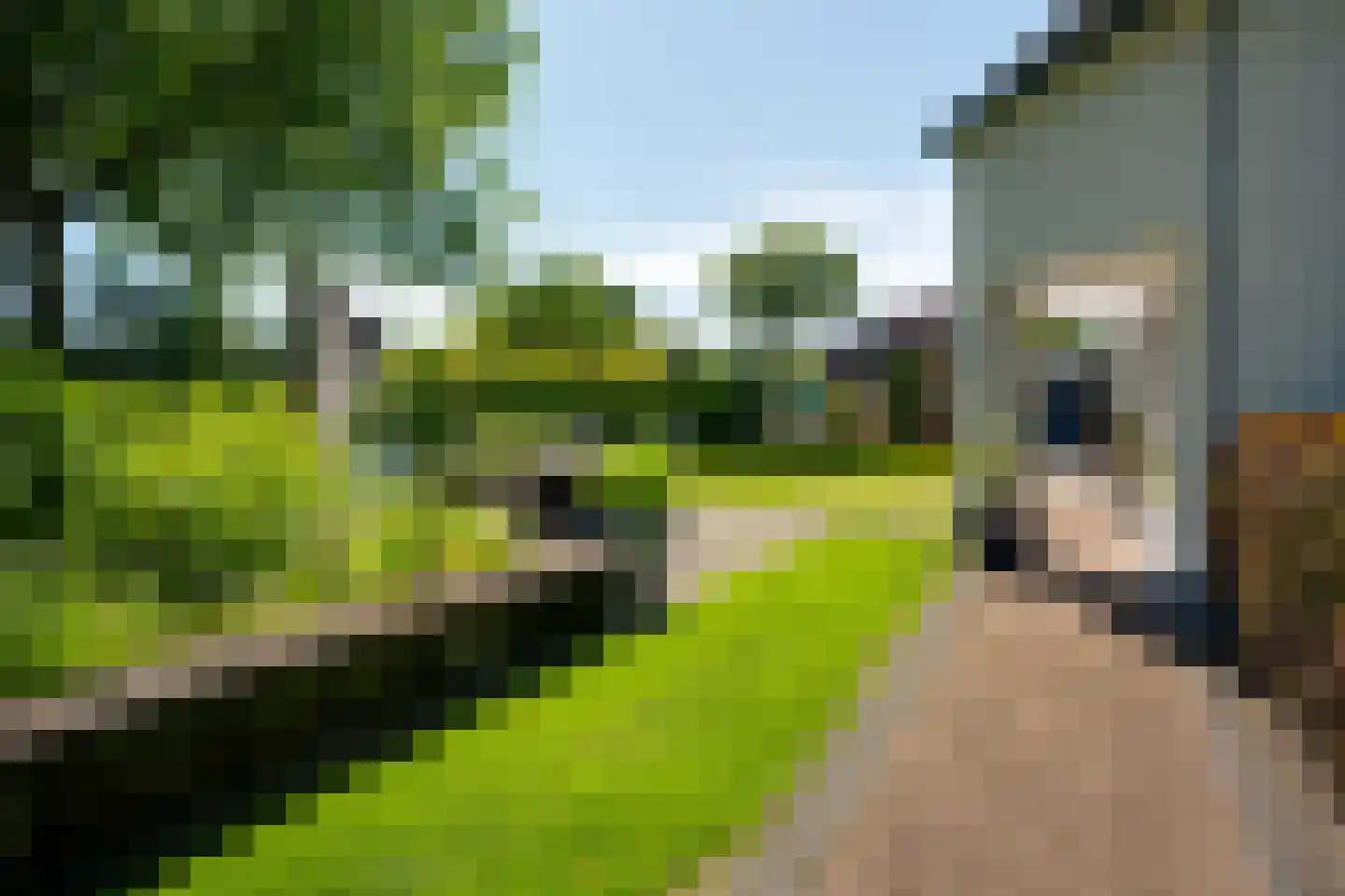 Noordveen 12 Beilen thumbnail 24