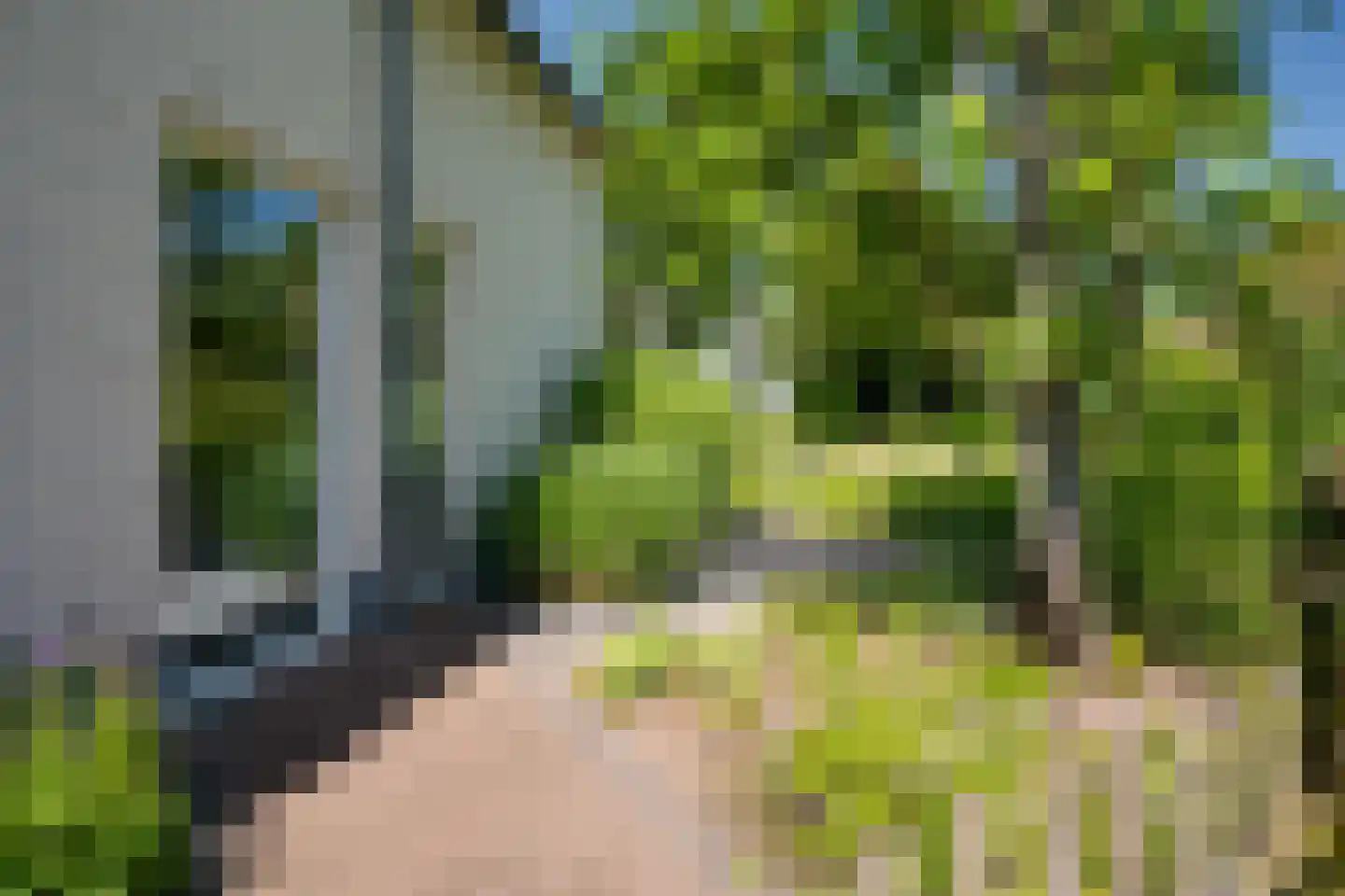Noordveen 12 Beilen thumbnail 25