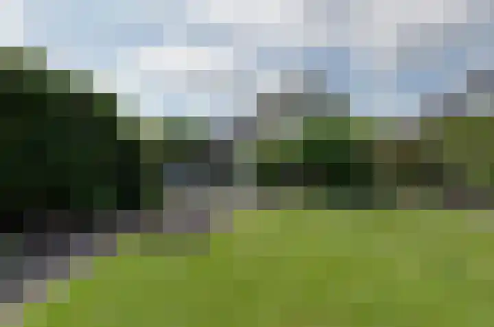 Noordveen 24 Beilen thumbnail 22