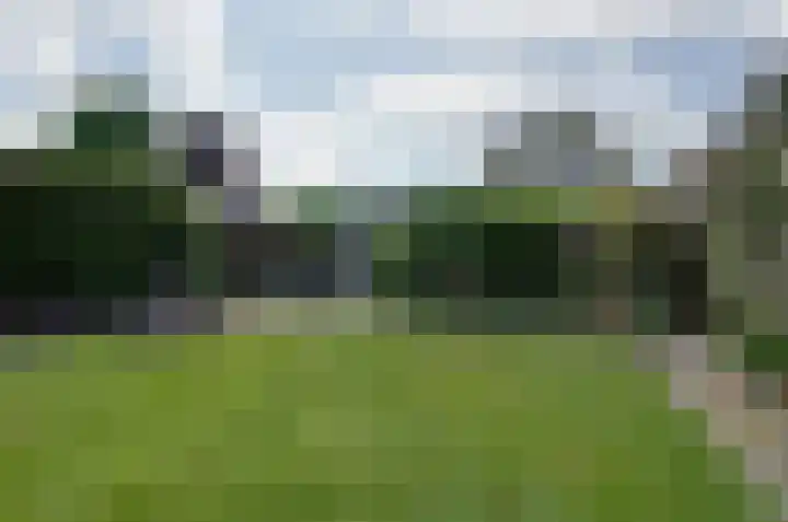 Noordveen 24 Beilen thumbnail 23