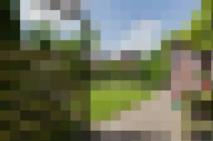Noordveen 24 Beilen thumbnail 26