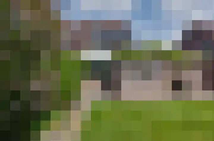 Noordveen 24 Beilen thumbnail 28