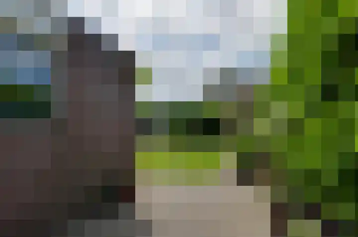 Noordveen 24 Beilen thumbnail 29