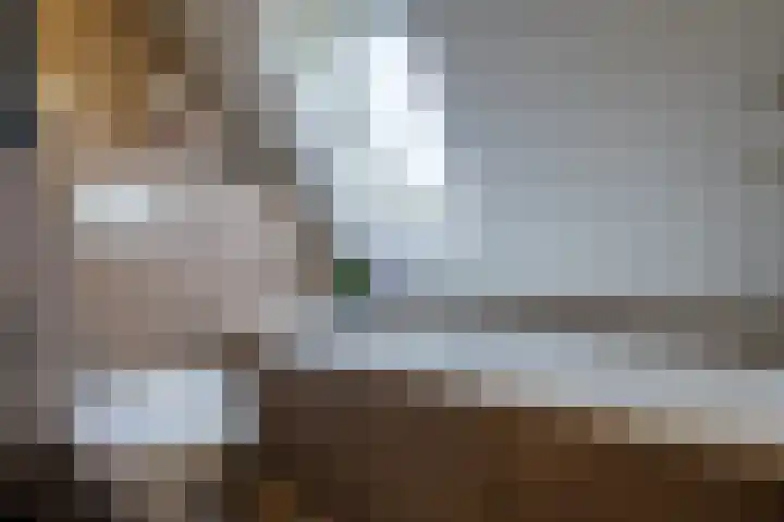 Noordveen 78 Beilen thumbnail 18