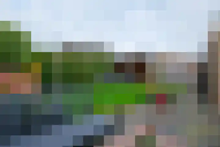 Noordveen 78 Beilen thumbnail 23