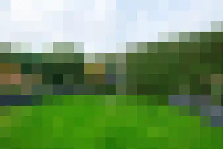 Noordveen 78 Beilen thumbnail 25
