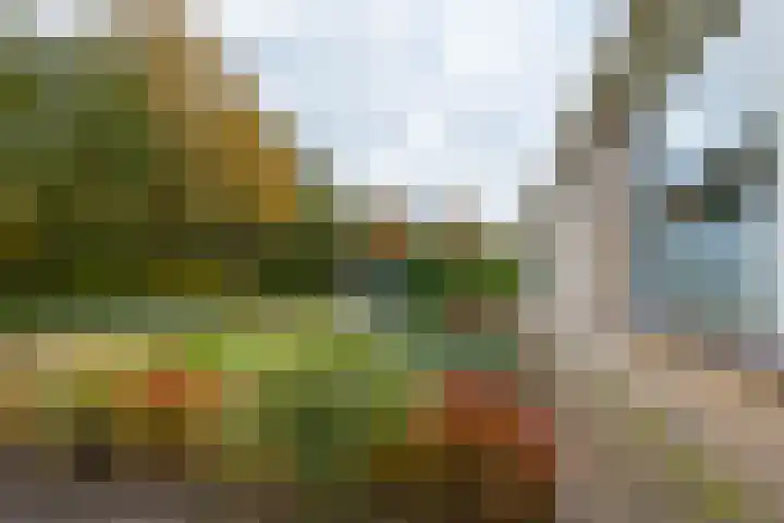 Noordveen 78 Beilen thumbnail 4