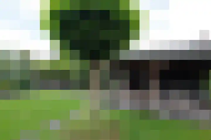 Noordveen 92 Beilen thumbnail 26