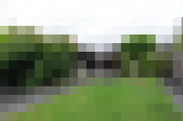 Noordveen 92 Beilen thumbnail 31