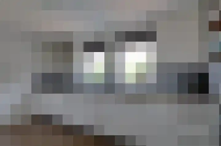Noordveen 92 Beilen thumbnail 9