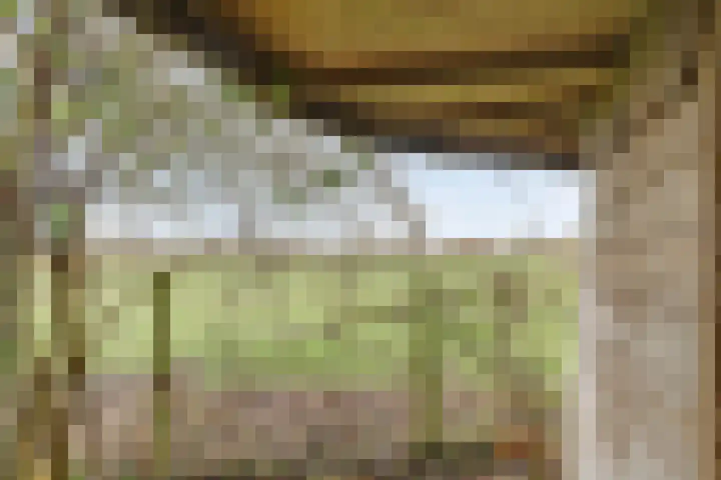 Noordveenkanaal NZ 2 Nieuw-Weerdinge thumbnail 15