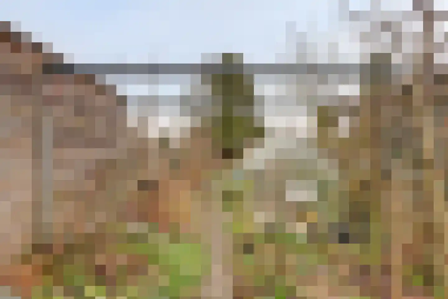 Noordveenkanaal NZ 2 Nieuw-Weerdinge thumbnail 16