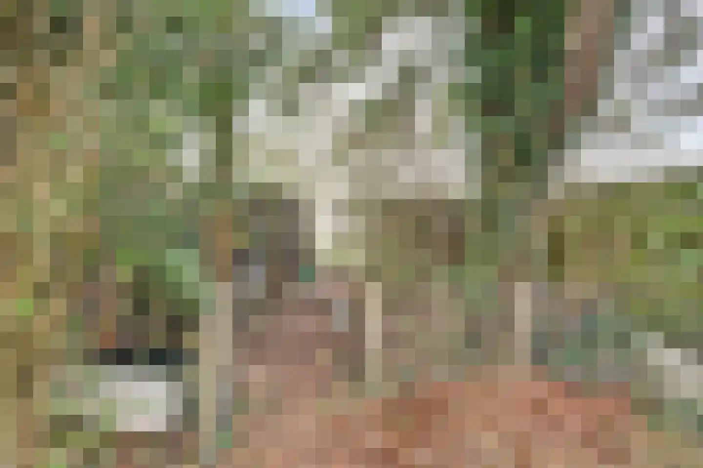 Noordveenkanaal NZ 2 Nieuw-Weerdinge thumbnail 17