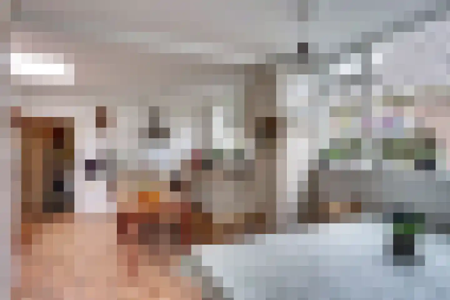 Noordveenkanaal NZ 2 Nieuw-Weerdinge thumbnail 5