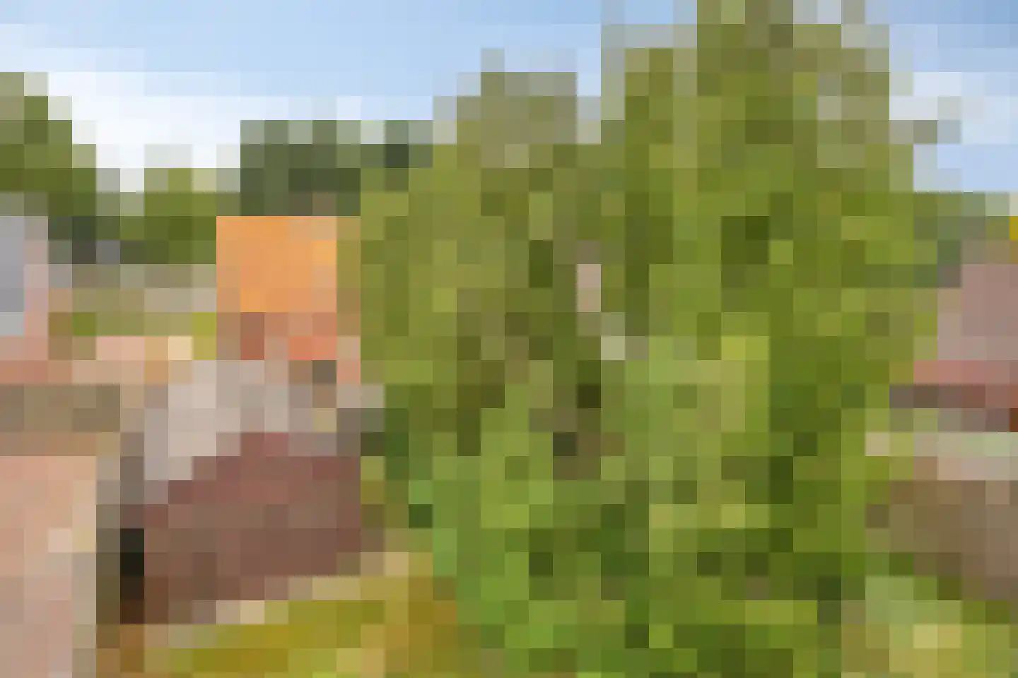 Noordveenkanaal NZ 30 Nieuw-Weerdinge thumbnail 8