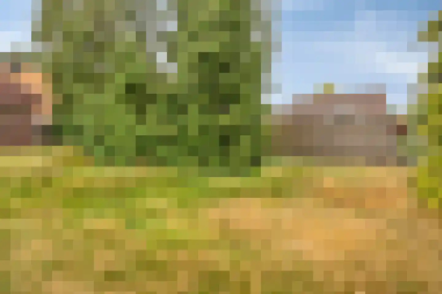Noordveenkanaal NZ 30 Nieuw-Weerdinge thumbnail 9
