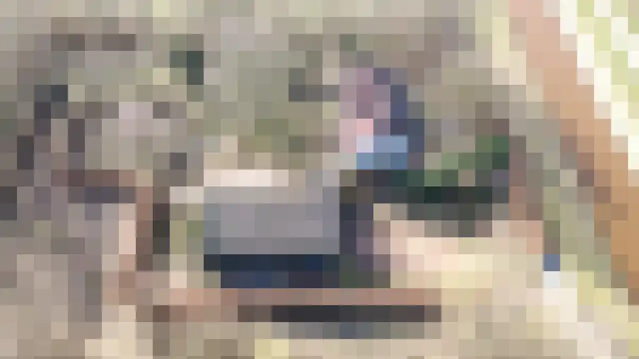 Noordveenkanaal ZZ 55 Nieuw-Weerdinge thumbnail 4