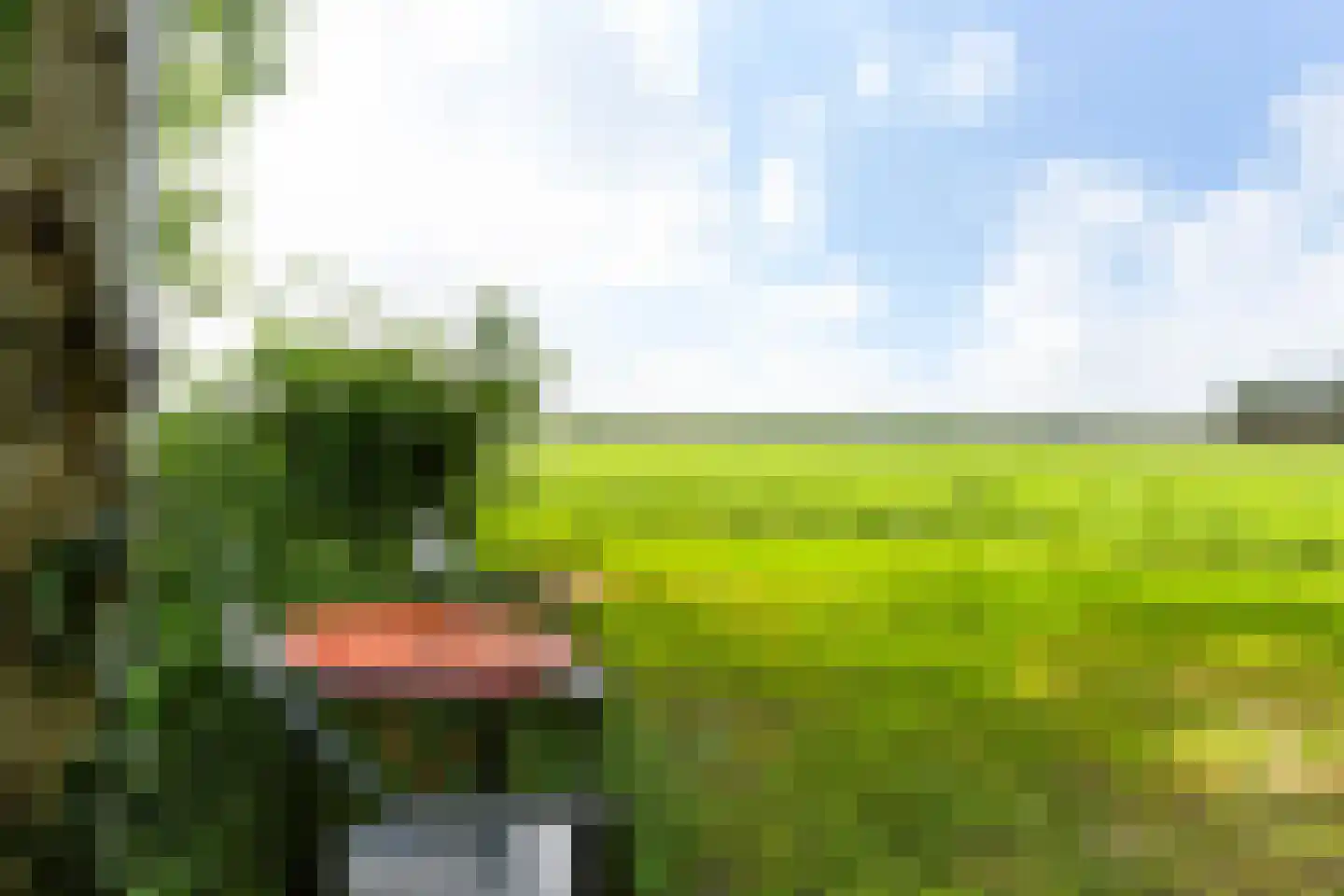 Noordveenkanaal ZZ 55 Nieuw-Weerdinge thumbnail 54