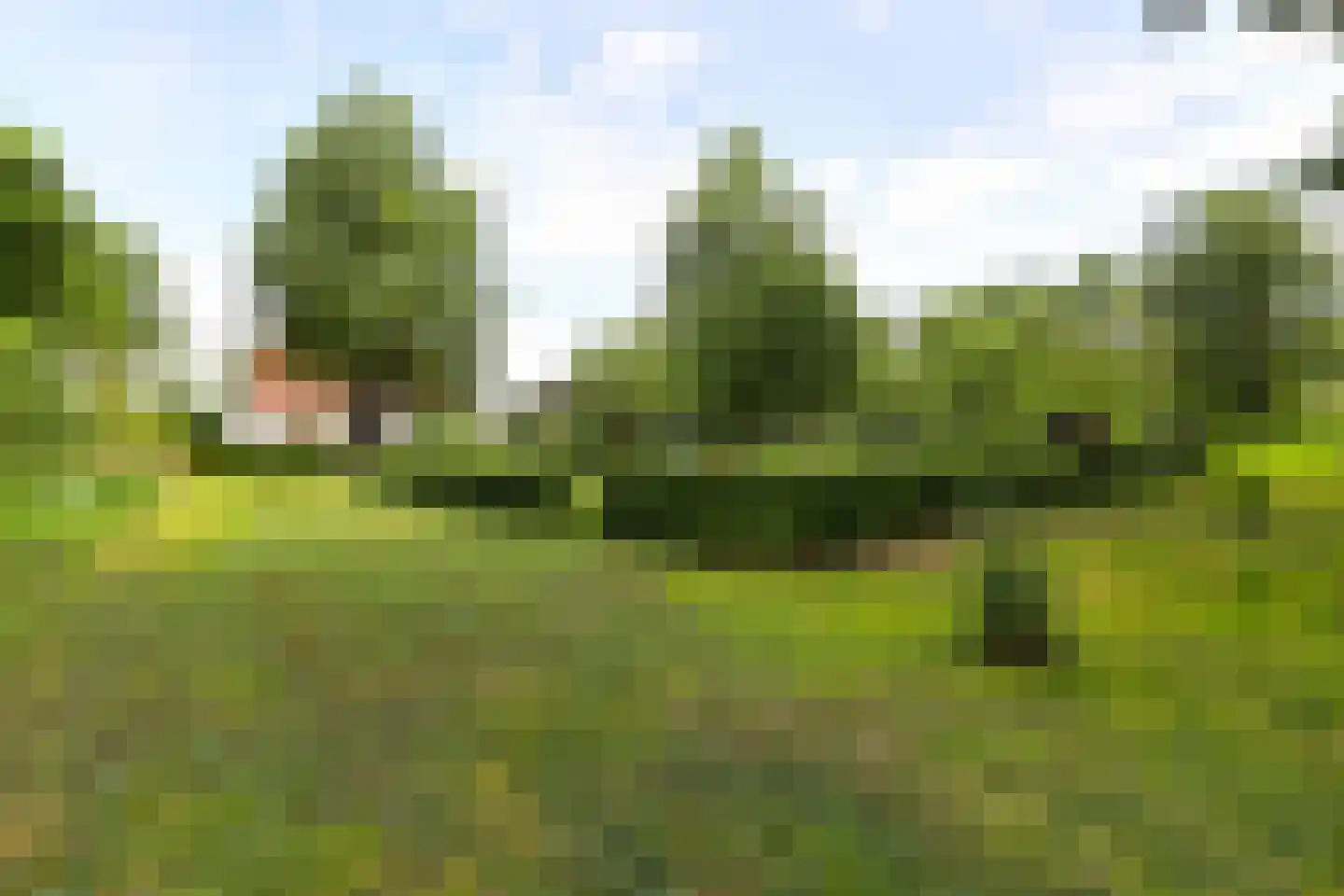 Noordveenkanaal ZZ 55 Nieuw-Weerdinge thumbnail 56