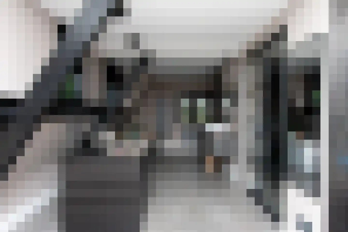Noordveenweg 1 Nieuwe Wetering thumbnail 21