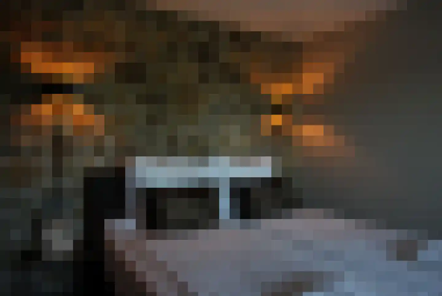 Noordveenweg 1 Nieuwe Wetering thumbnail 34