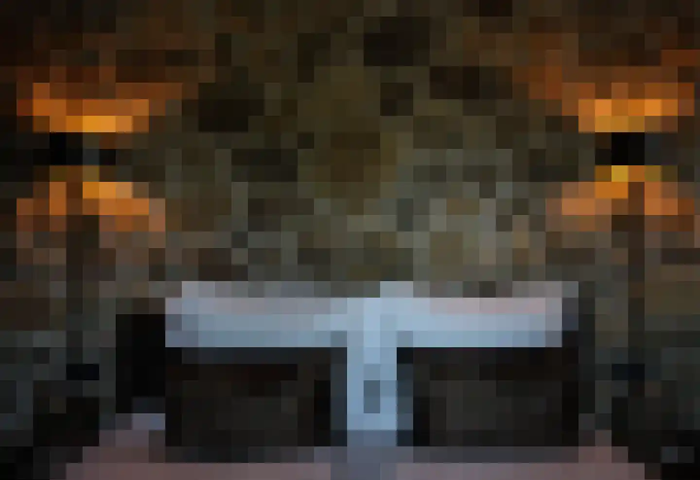 Noordveenweg 1 Nieuwe Wetering thumbnail 36