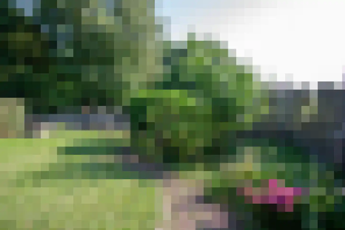 Noordveenweg 1 Nieuwe Wetering thumbnail 43