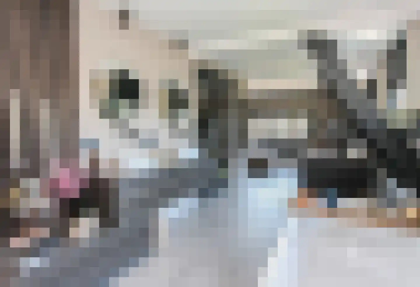 Noordveenweg 1 Nieuwe Wetering thumbnail 5