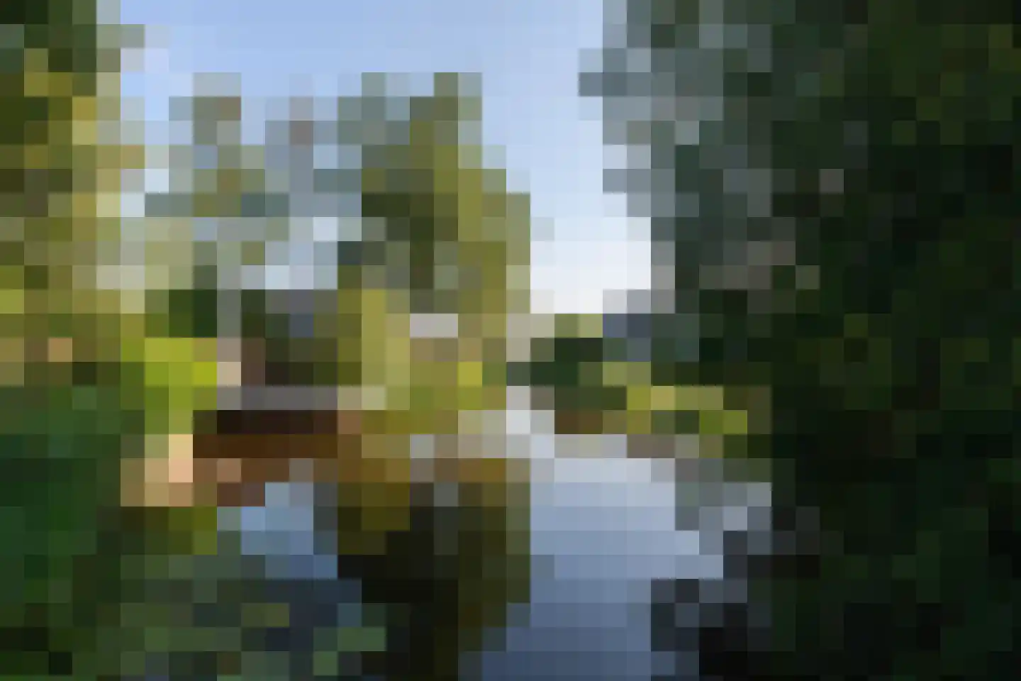 Noordveenweg 1 Nieuwe Wetering thumbnail 54
