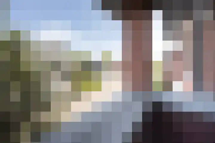 Noordveld 9 Sprundel thumbnail 27