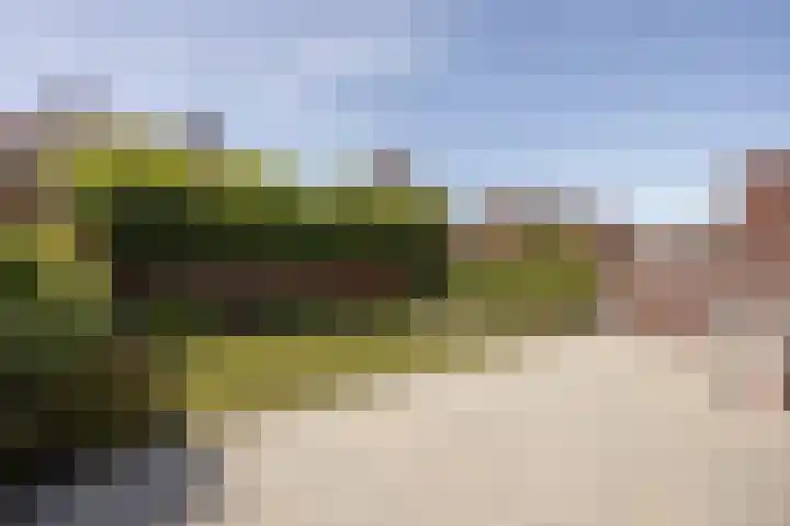 Noordveld 9 Sprundel thumbnail 31
