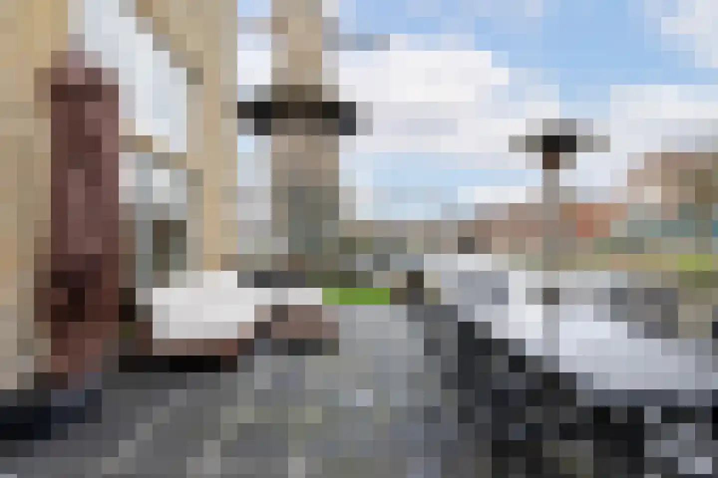Noordvest 30 D Schiedam thumbnail 5