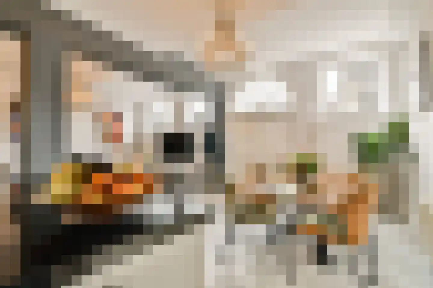 Noordvestsingel 81 1 Schiedam thumbnail 7