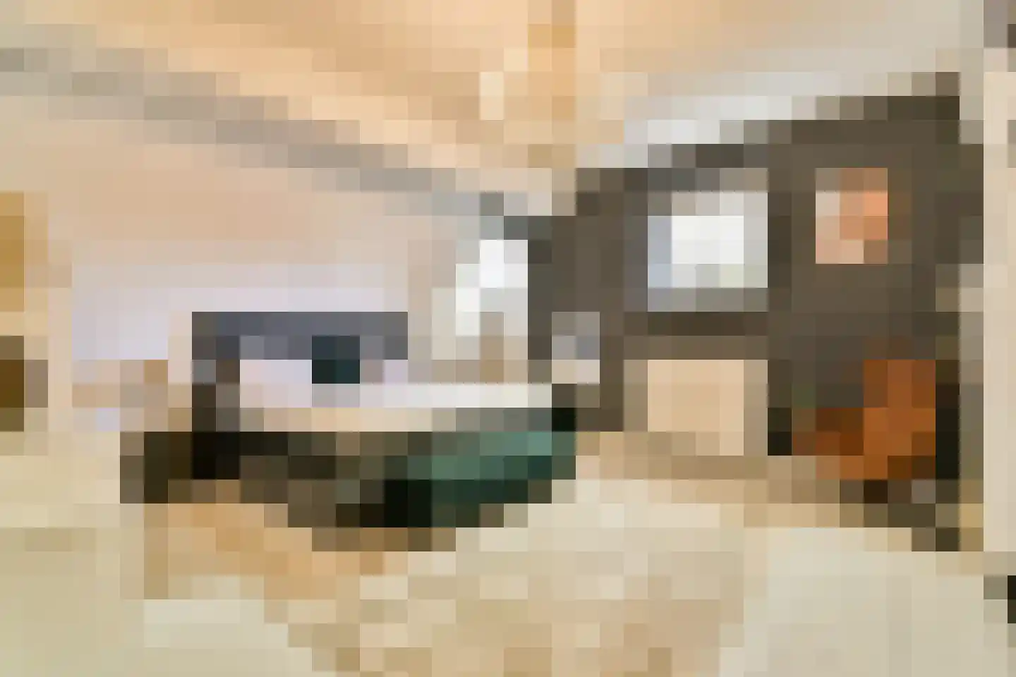Noordvestsingel 81 1 Schiedam thumbnail 9