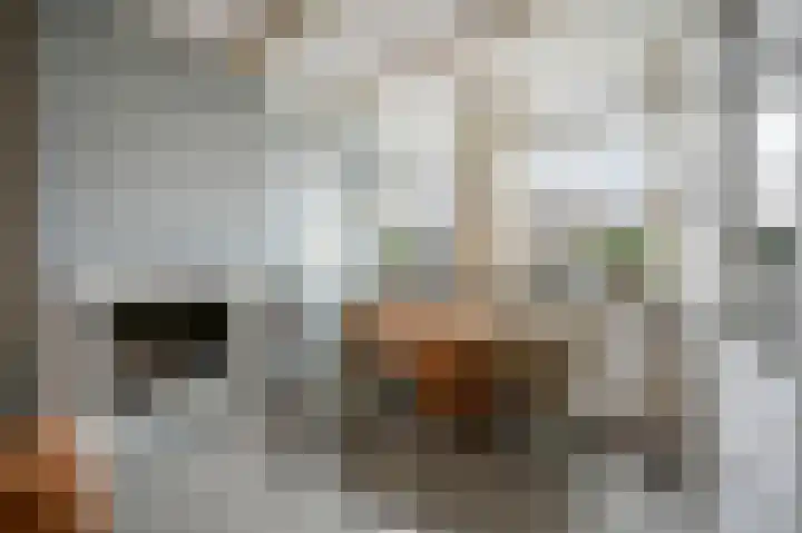 Noordvliet 141 Maassluis thumbnail 9