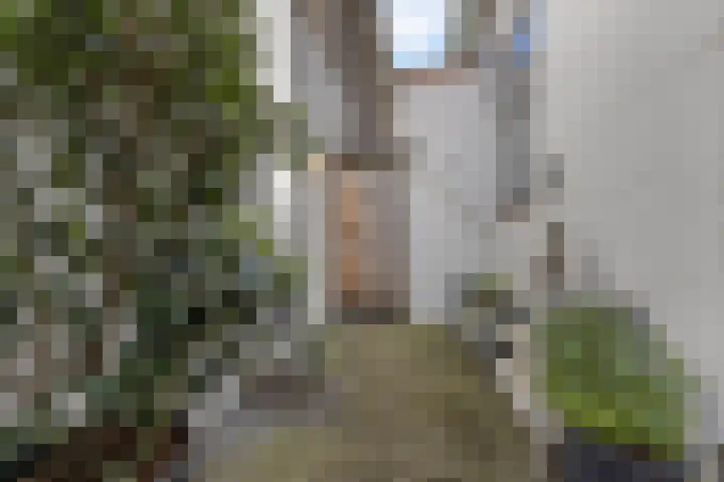 Noordvliet 145 A Maassluis thumbnail 16