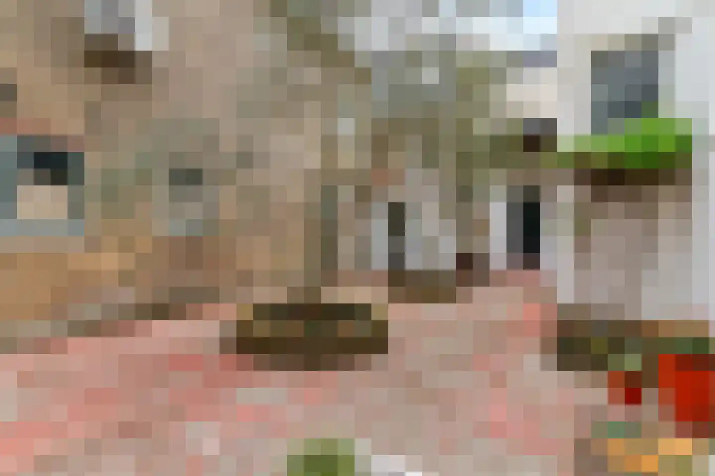 Noordvliet 15 A Maassluis thumbnail 54