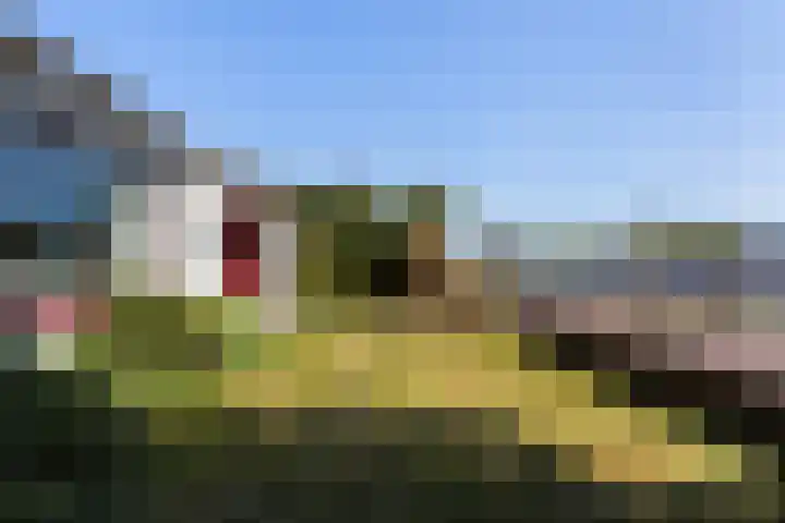 Noordvliet 157 Maassluis thumbnail 5
